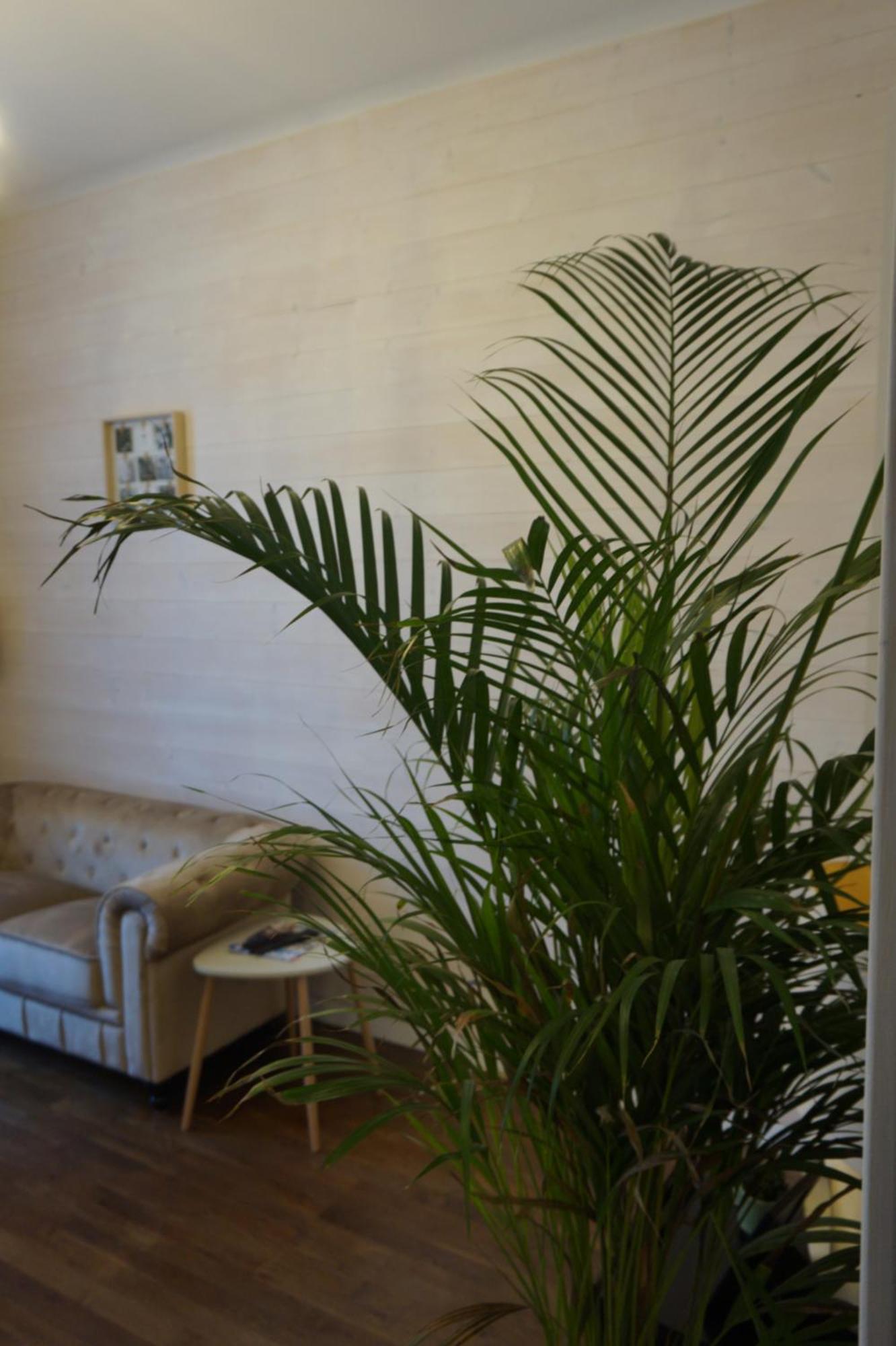 L'Experience Appartement & Spa Prive Chambéry Dış mekan fotoğraf